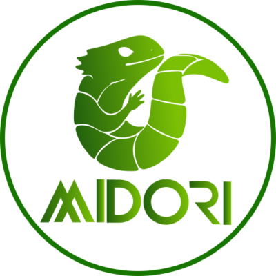 Midori 11.3.1 available