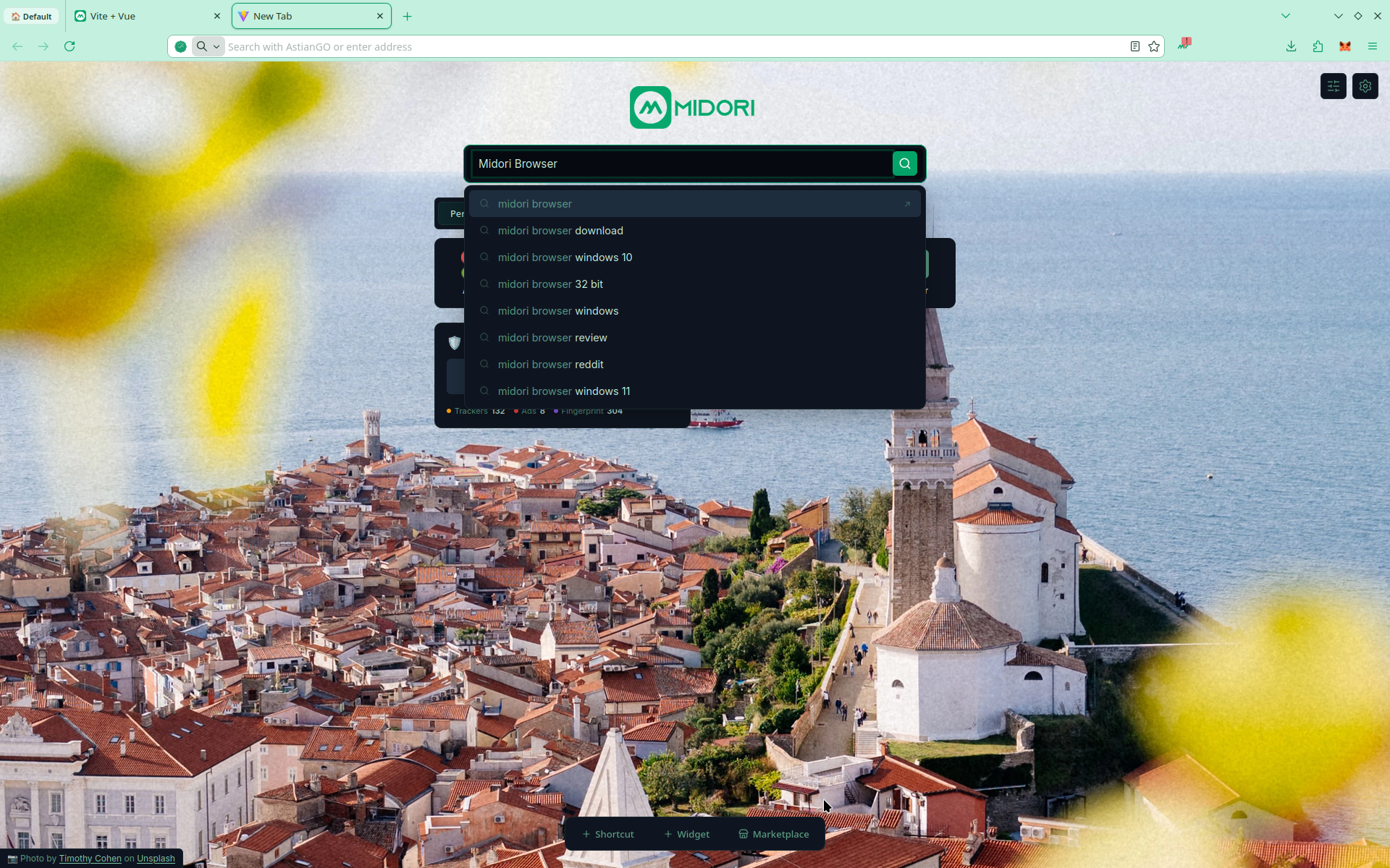 Midori Browser with Autocomplete