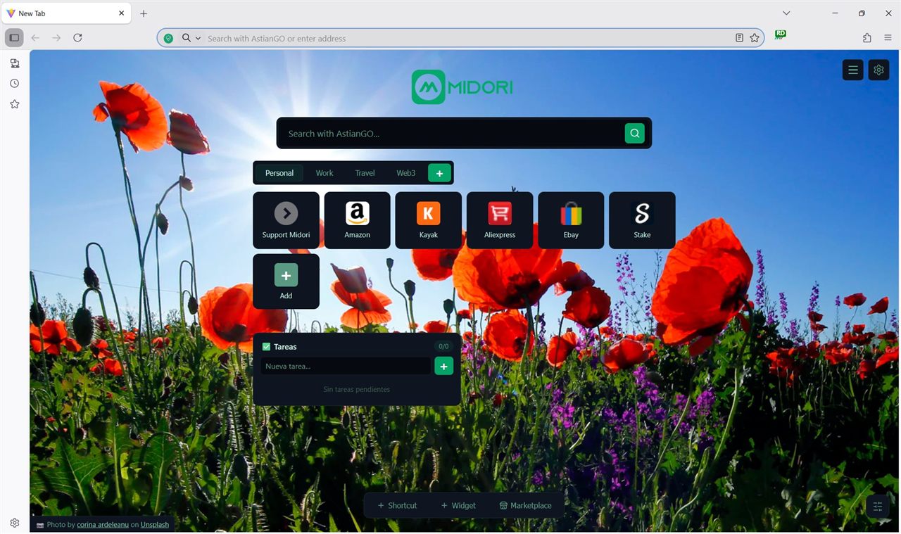 Midori browser privacy panel